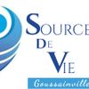 Logo of the association Eglises Evangéliques Source de vie Goussainville